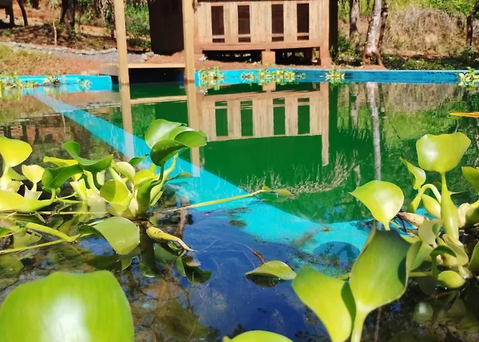 Adama Eco Farm