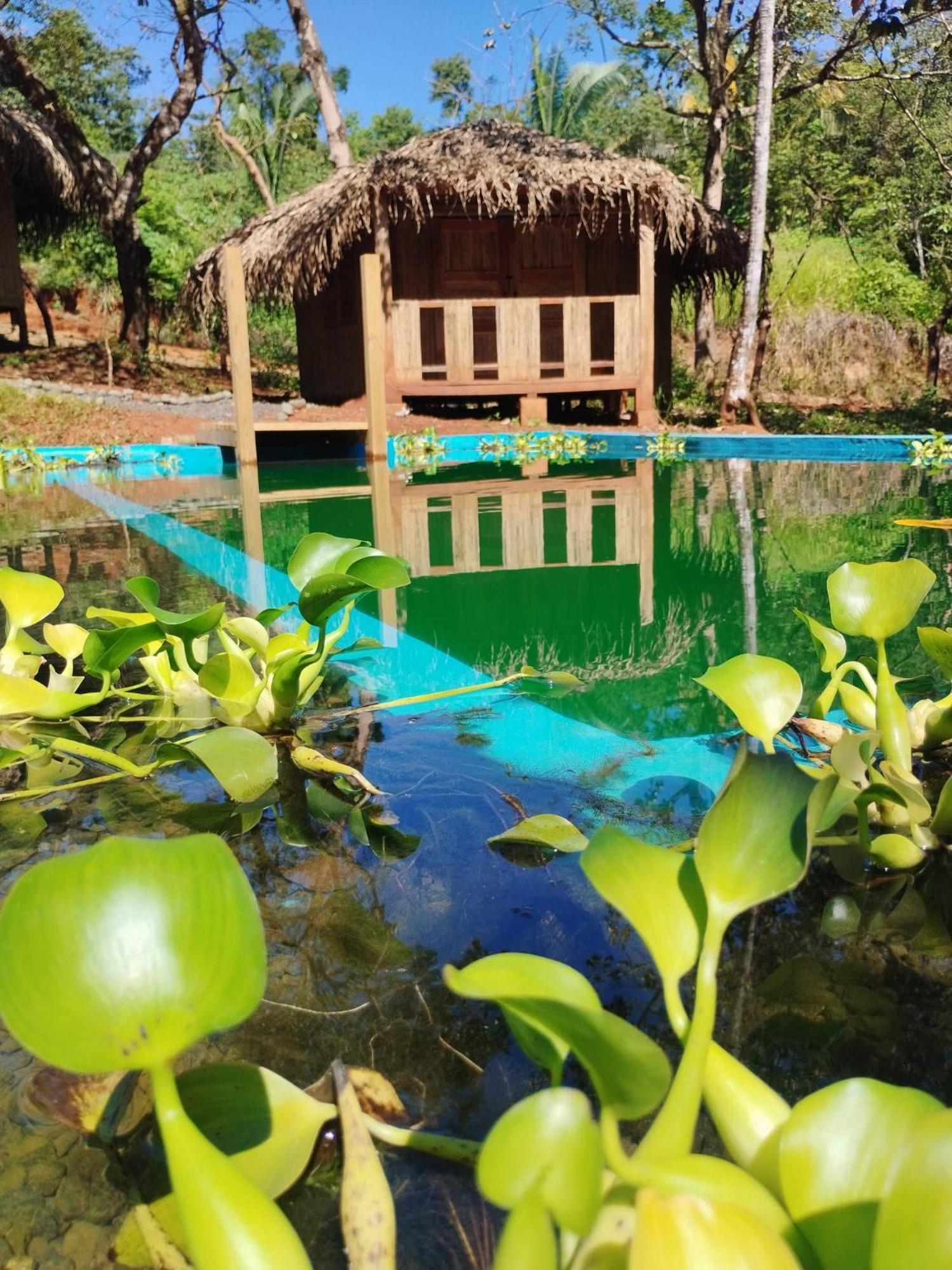 Adama Eco Farm Farm stay Santa Catalina